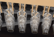 Die TSG auf dem Flonheimer Weinmarkt