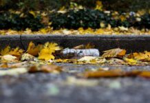 Unterstützungsaufruf zum „Dreck weg Tag“ in Flonheim